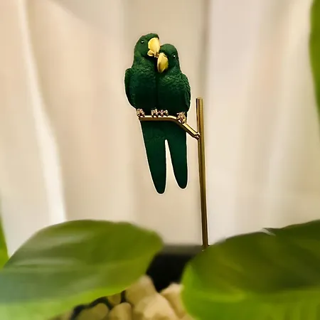 Appartamento Jungle Escape Gernsbach