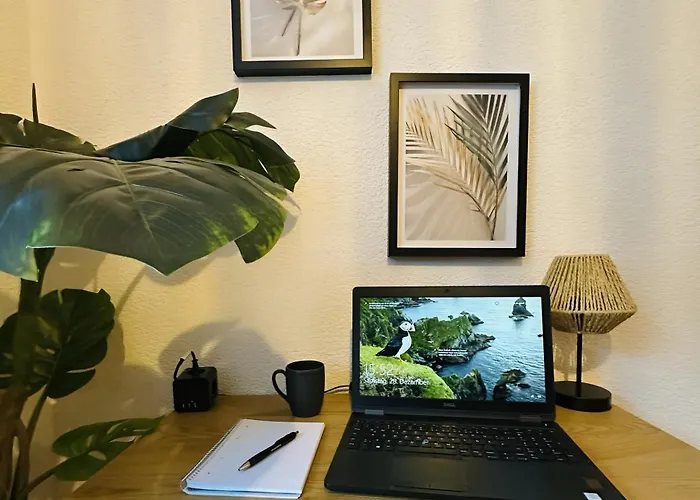 Jungle Escape Gernsbach