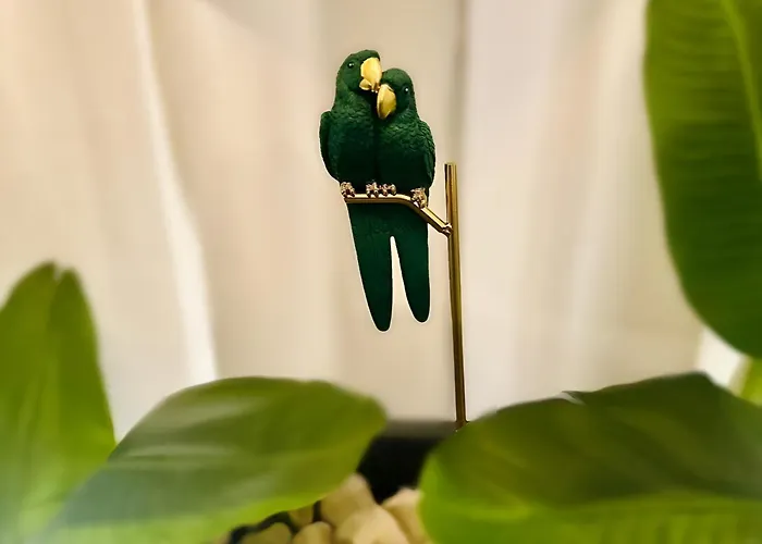 Appartement Jungle Escape Gernsbach