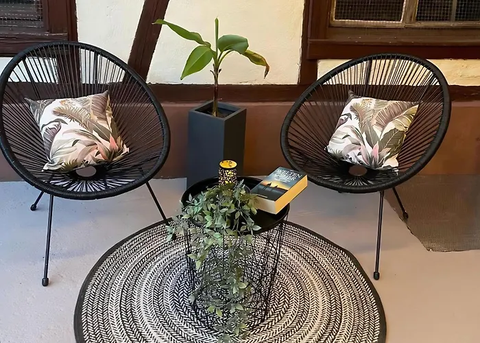 Jungle Escape Gernsbach